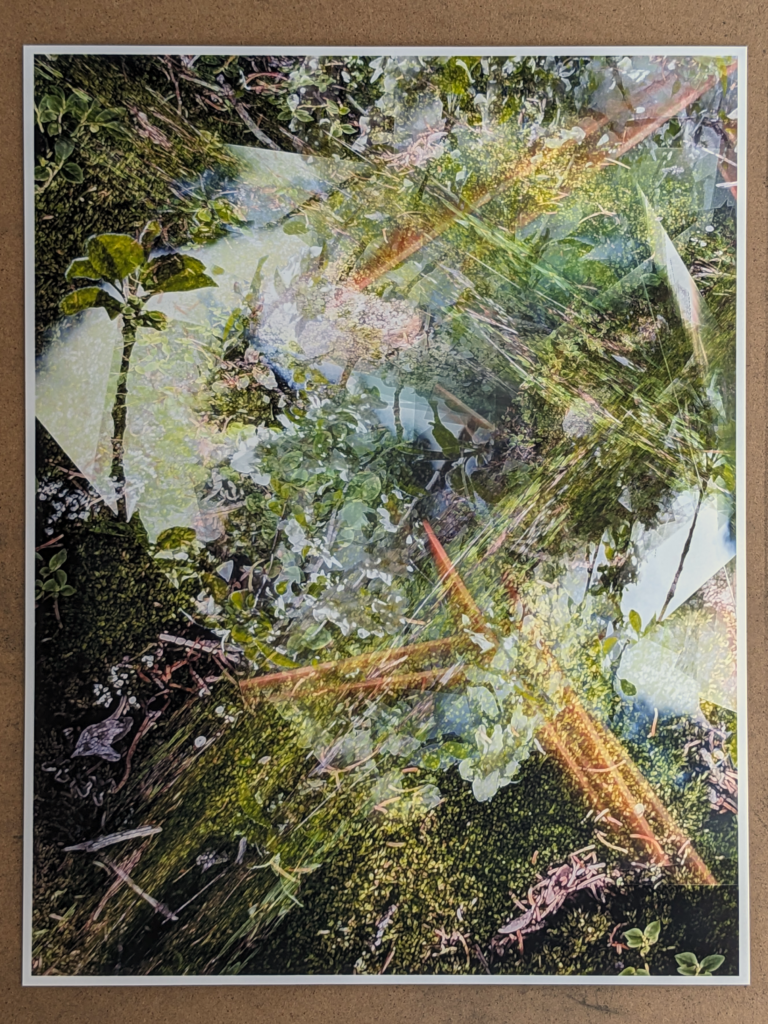 vellum park